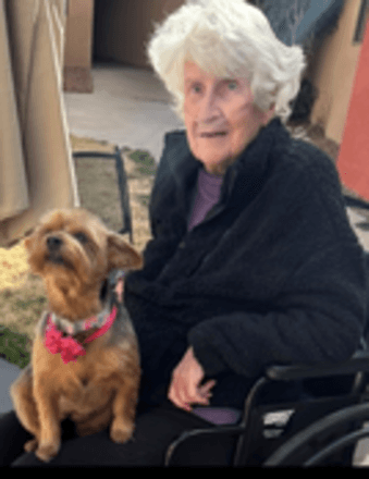 Connie Christine Bergh-Muller Obituary